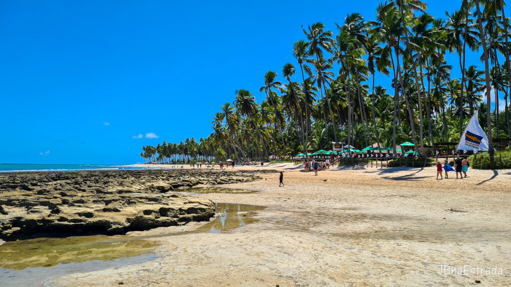 Brasil - Pernambuco - Praia dos Carneiros - Beijupira