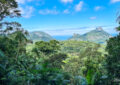 Brasil - Rio de Janeiro - Parque Nacional da Tijuca - Mirante do Almirante