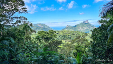 Brasil - Rio de Janeiro - Parque Nacional da Tijuca - Mirante do Almirante