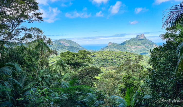 Brasil - Rio de Janeiro - Parque Nacional da Tijuca - Mirante do Almirante