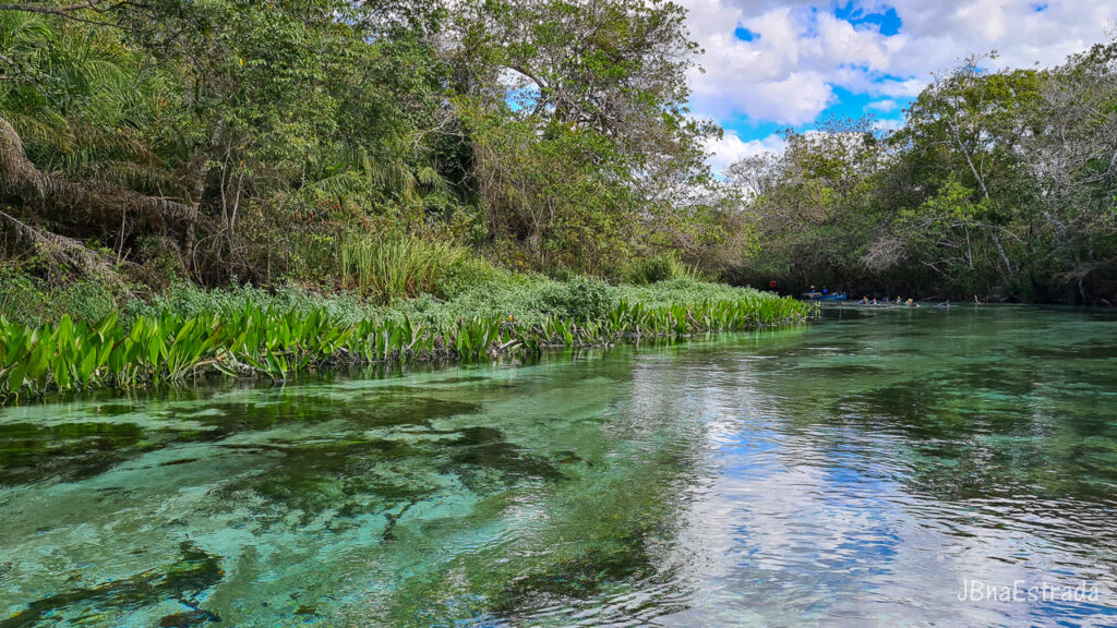 Brasil - Mato Grosso do Sul - Bonito - Barra do Rio Sucuri