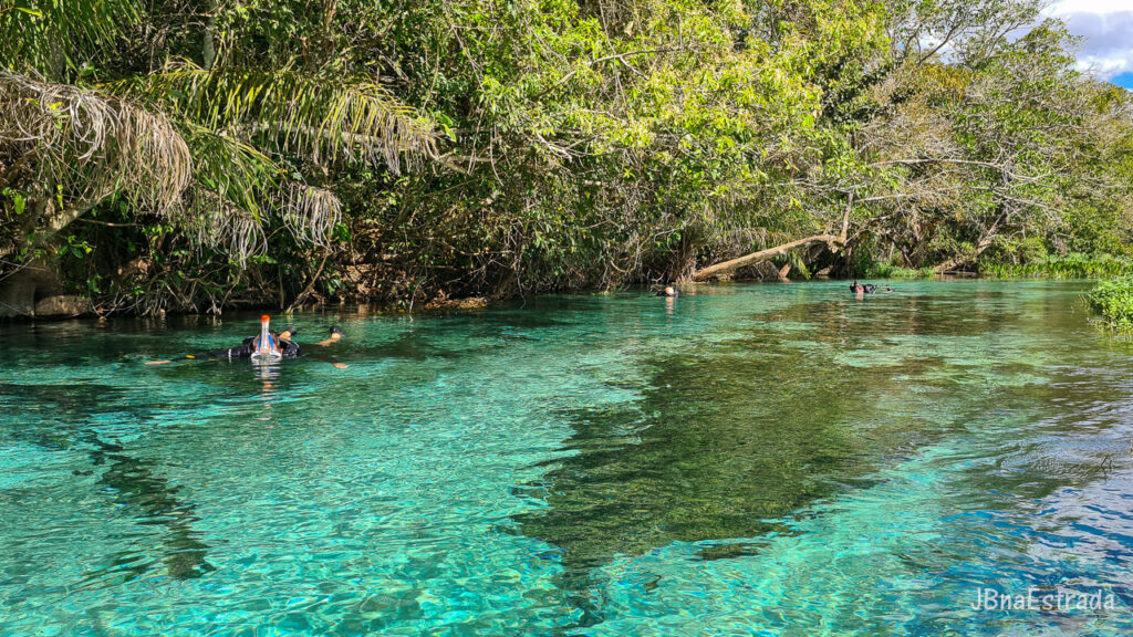 Brasil - Mato Grosso do Sul - Bonito - Barra do Rio Sucuri