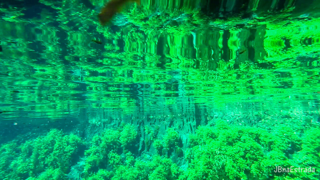 Brasil - Mato Grosso do Sul - Jardim - Lagoa Misteriosa