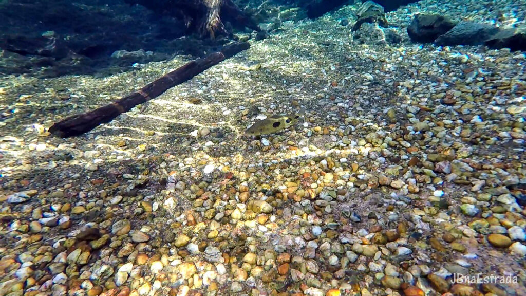 Brasil - Mato Grosso do Sul - Jardim - Recanto Ecologico Rio da Prata
