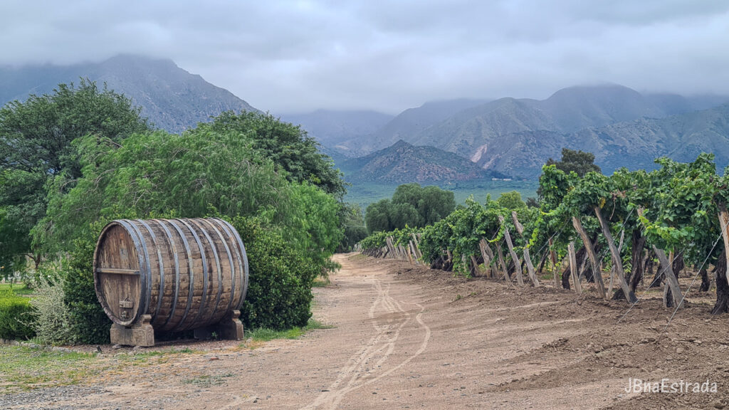 Argentina - Cafayate - Bodega El Esteco