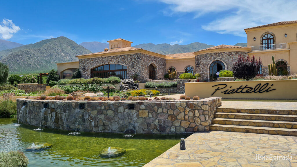 Argentina - Cafayate - Bodega Piattelli