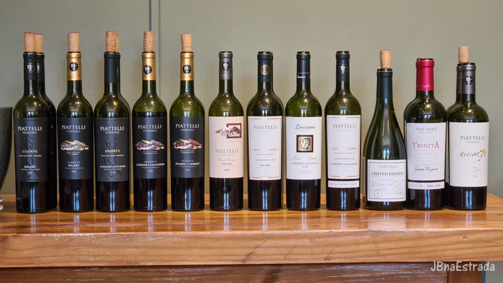 Argentina - Cafayate - Bodega Piattelli