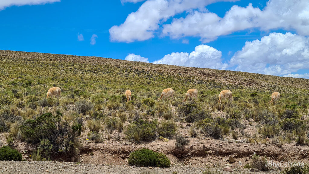 Argentina - Jujuy - El Hornocal
