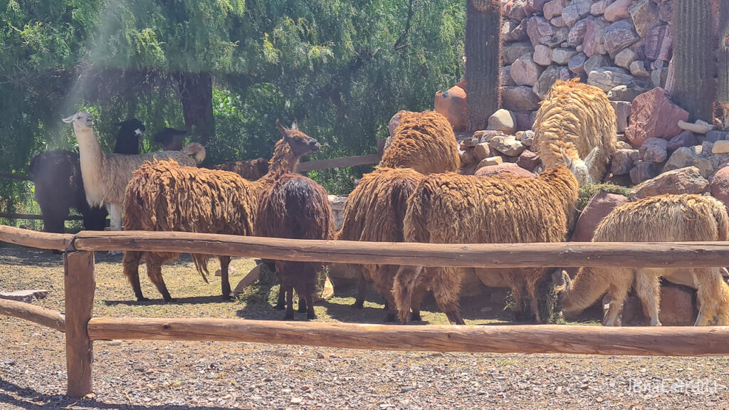 Argentina - Jujuy - Humahuaca