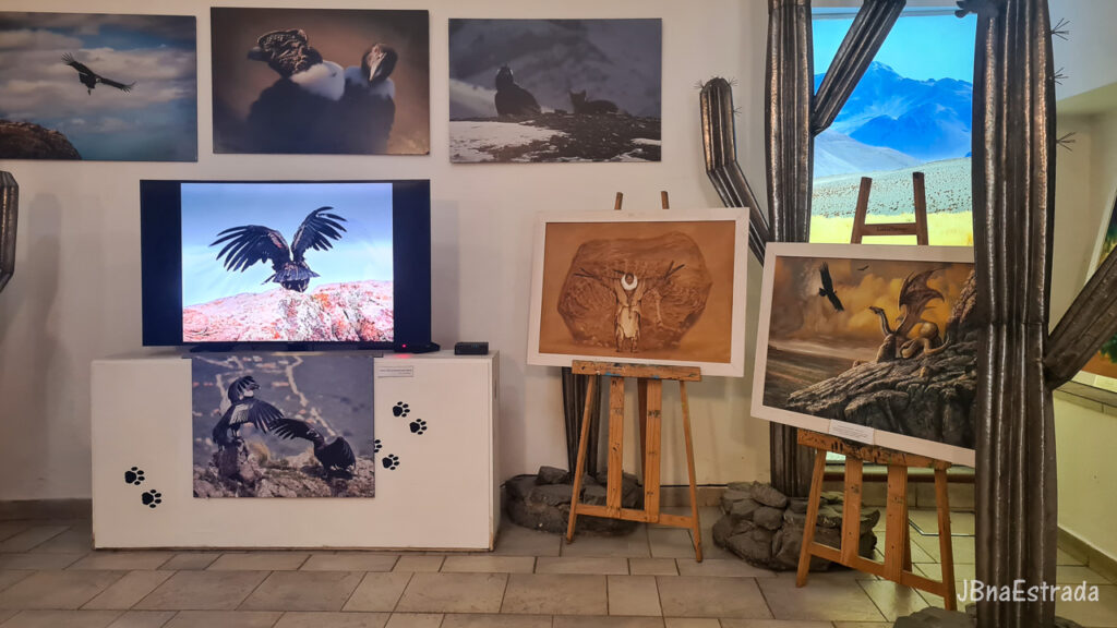 Argentina - Salta - Museu de Arqueologia de Alta Montanha