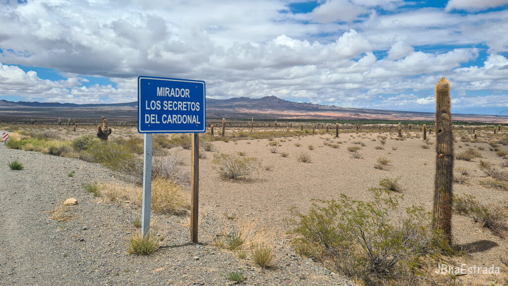 Argentina - Salta - Parque Nacional Los Cardones