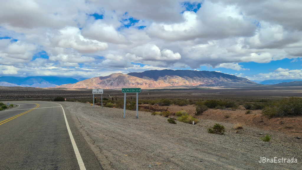 Argentina - Salta - Parque Nacional Los Cardones