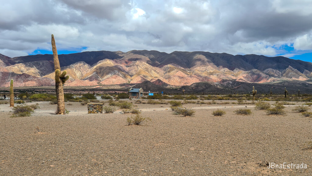 Argentina - Salta - Parque Nacional Los Cardones