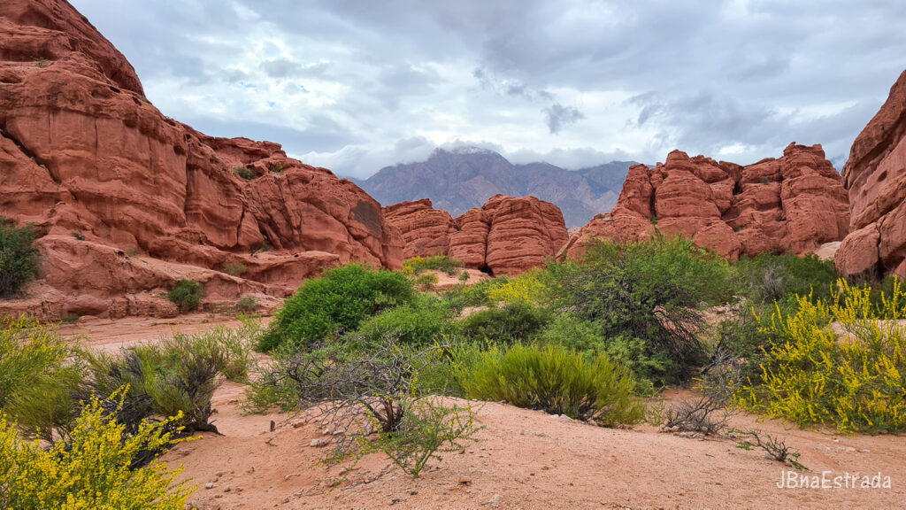 Argentina - Salta - Quebrada de las Conchas - Los Colorados