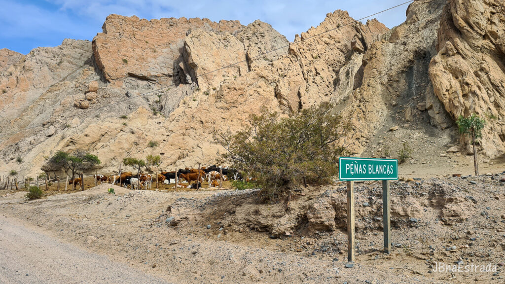 Argentina - Salta - Quebrada de las Flechas
