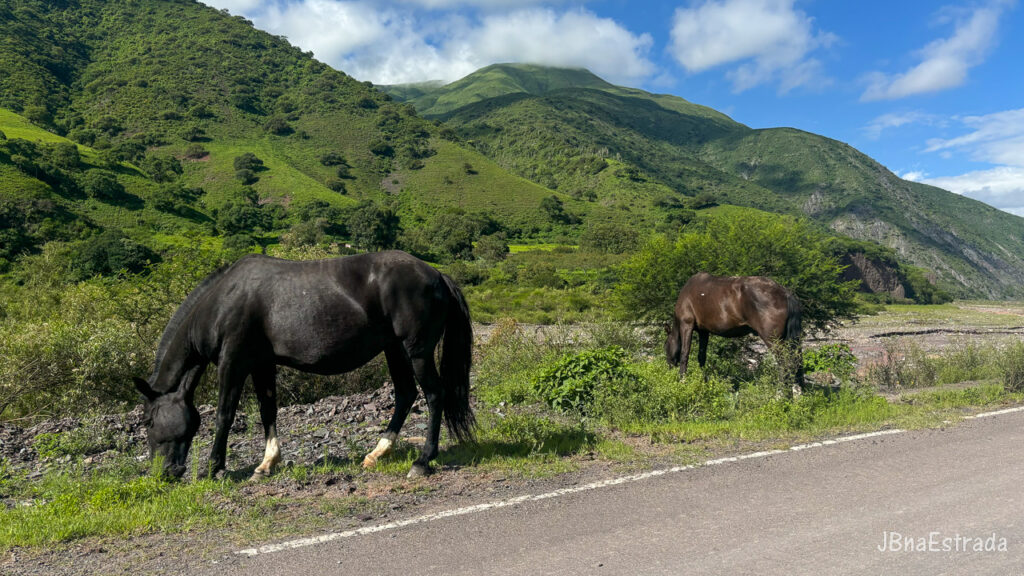 Argentina - Salta - Quebrada del Escoipe