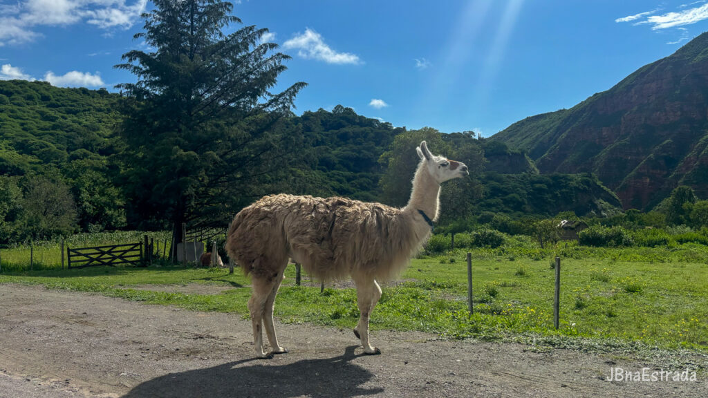 Argentina - Salta - Quebrada del Escoipe