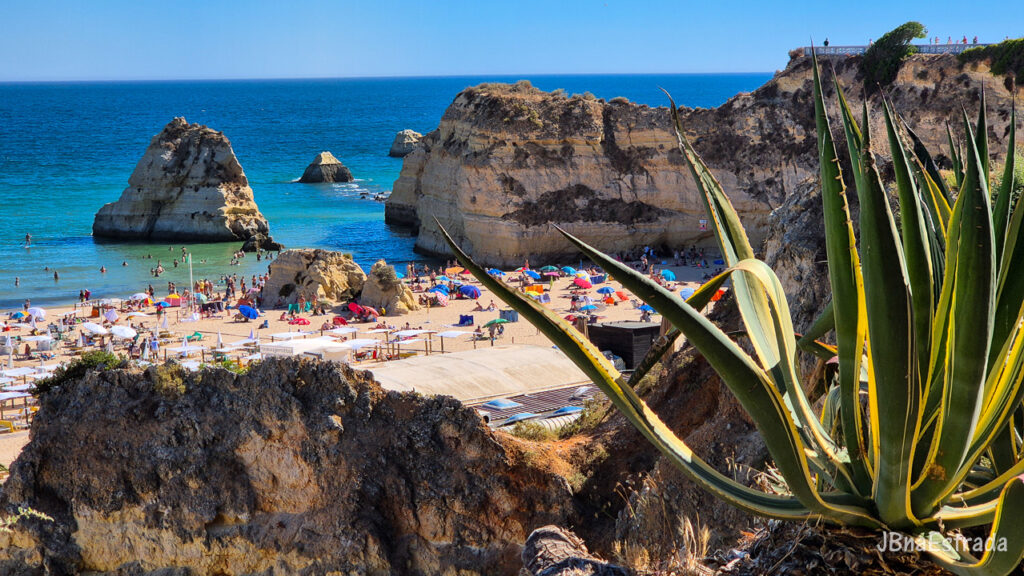 Portugal - Portimao - Praia da Rocha - Restaurante Tres Palmeiras