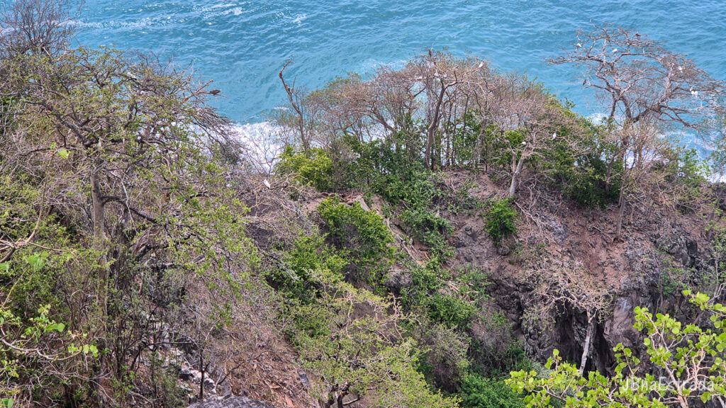 Brasil - Pernambuco - Fernando de Noronha - Baia dos Golfinhos