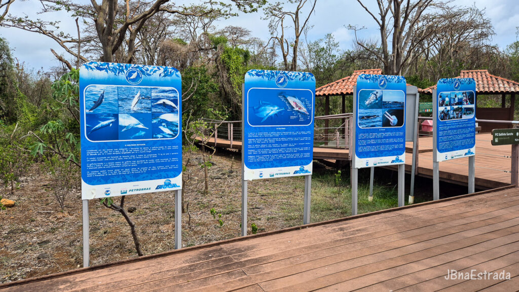 Brasil - Pernambuco - Fernando de Noronha - Baia dos Golfinhos
