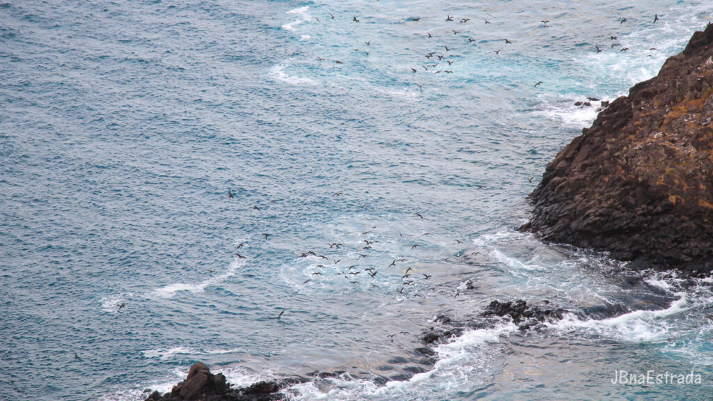 Brasil - Pernambuco - Fernando de Noronha - Baia dos Golfinhos