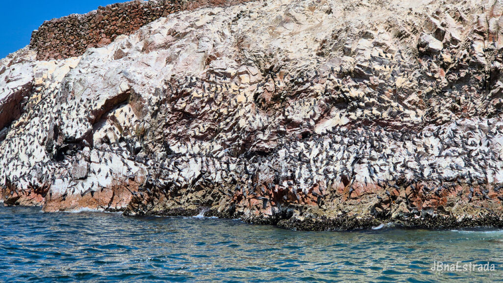 Peru - Paracas - Islas Ballestas