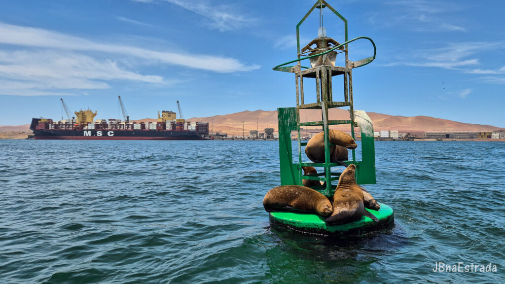 Peru - Paracas - Islas Ballestas