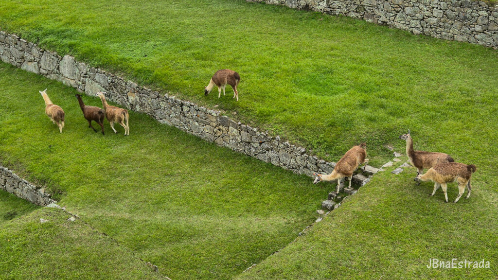 Peru - Santuario Historico de Machu Picchu